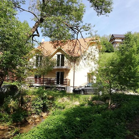 Vila Vrh Crni Vrh 외부 사진