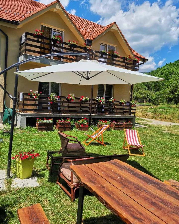 Vila Vrh Crni Vrh 외부 사진