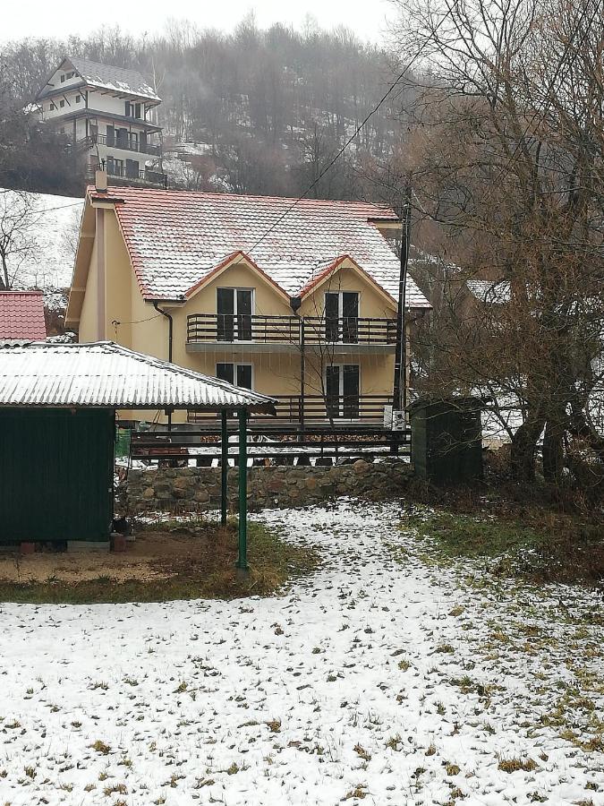Vila Vrh Crni Vrh 외부 사진